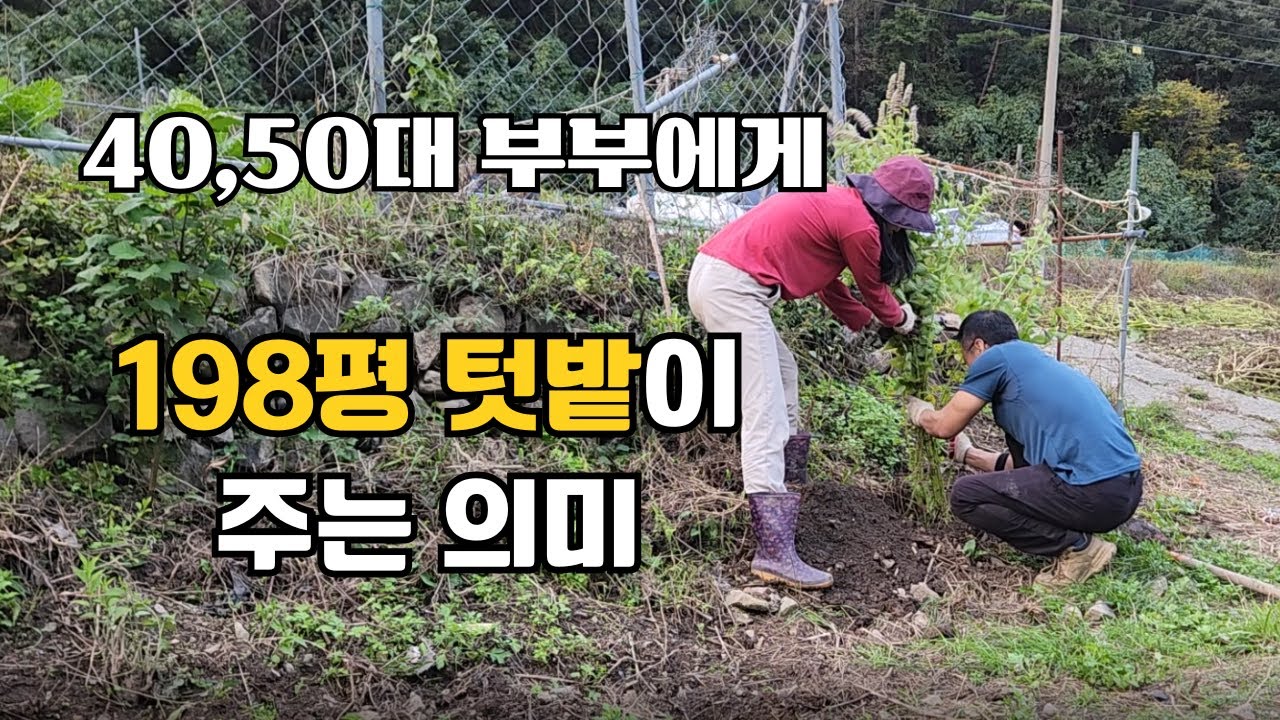 작은 텃밭이 우리부부에게 주는 의미 (미나리밭 만들기/가을밤불멍/밭고랑만들기/달팽이와전쟁/만두국끓이기)