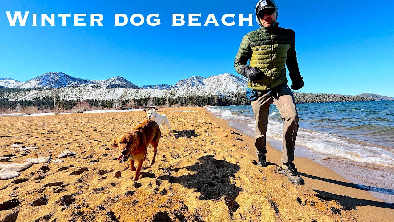 A Winter Dog Beach Day in Tahoe (We Had It All to Ourselves)
