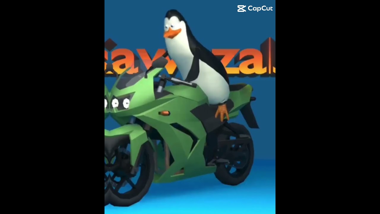 The lost penguins of Madagascar