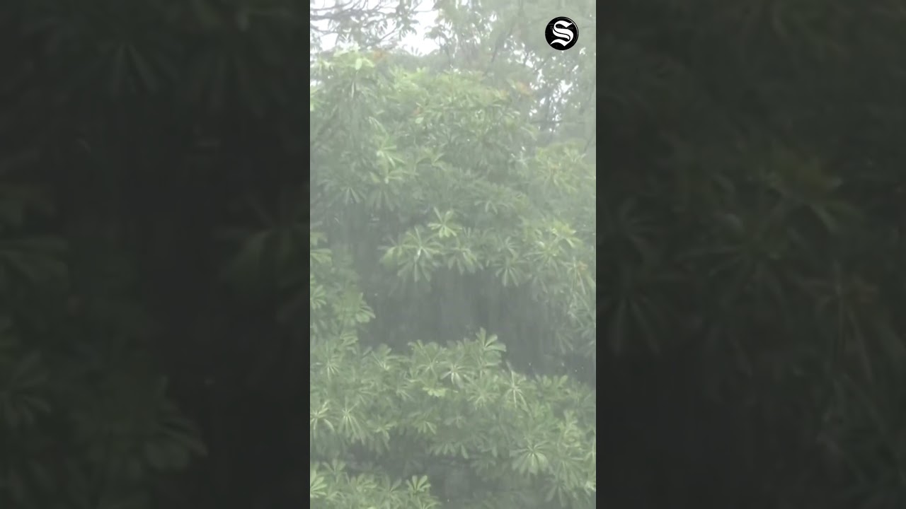 Weather Today: Heavy rainfall lashes Chandigarh | #TheStatesman