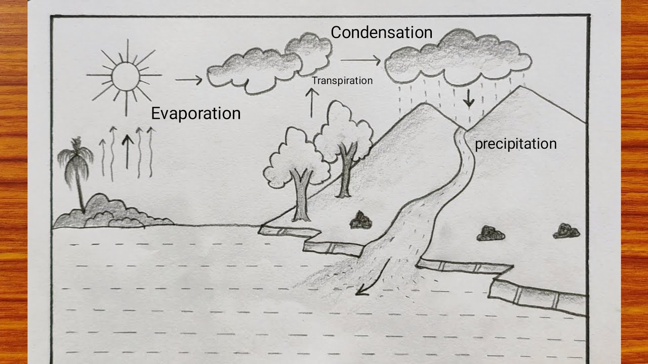 Water cycle students project drawing | Water cycle sketch drawing easy | How to sketch Water Cycle