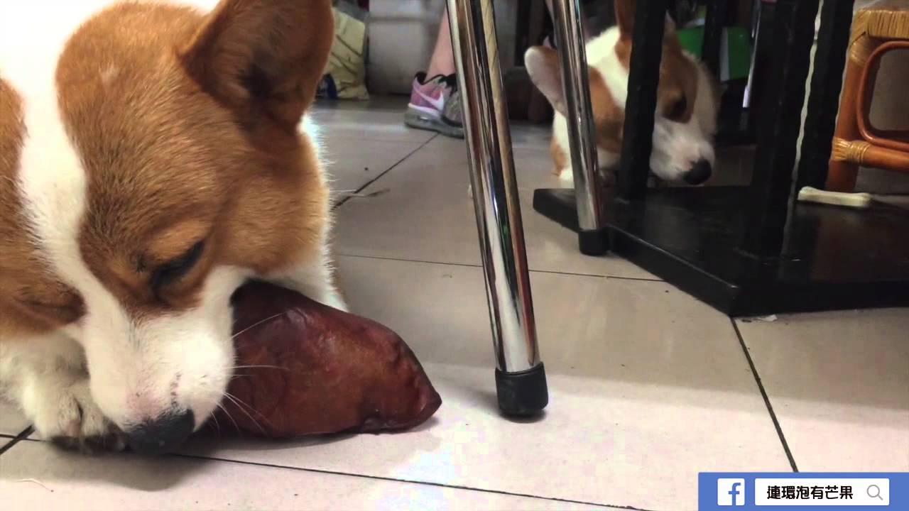 [連環泡]又被青了