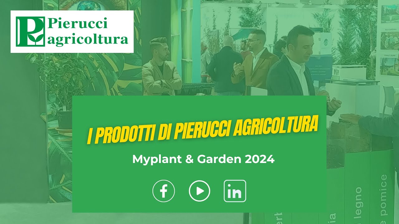 I prodotti di Pierucci Agricoltura: intervista a Jacopo Rabuzzi, responsabile commerciale