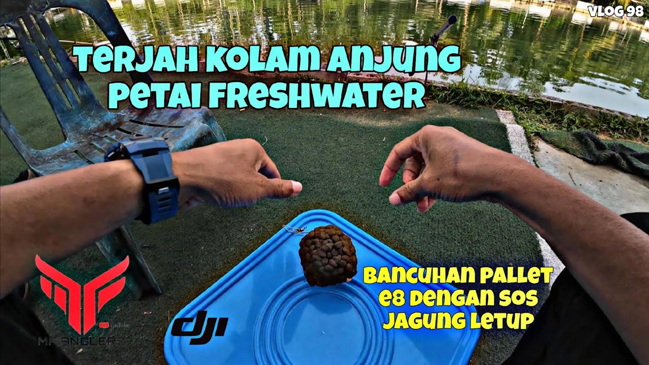 TERJAH KOLAM ANJUNG PETAI FRESHWATER | UMPAN PALLET E8 SEGERA | SOS JAGUNG LETOP  #VLOG98