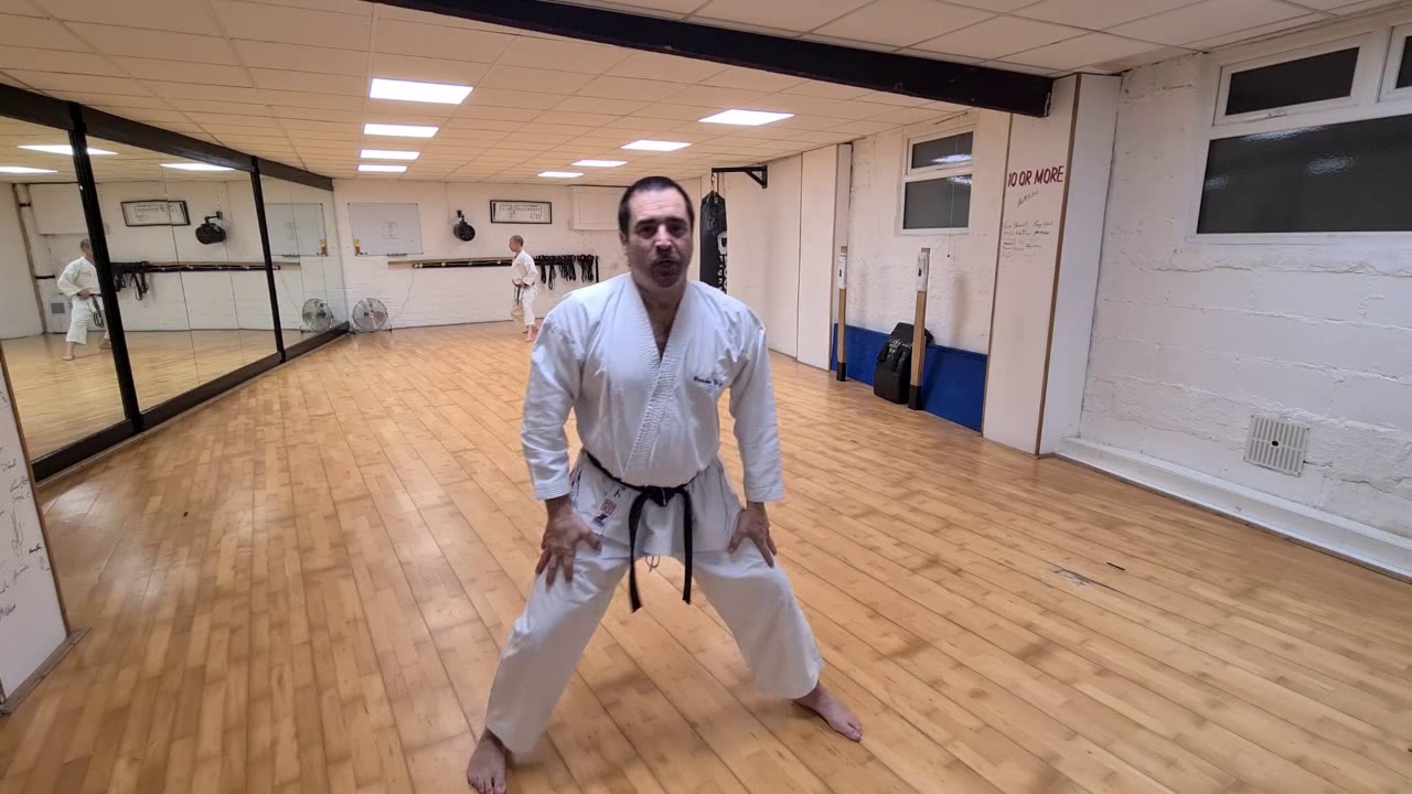 HDKI Headquarter Training - Dynamic Stance Work