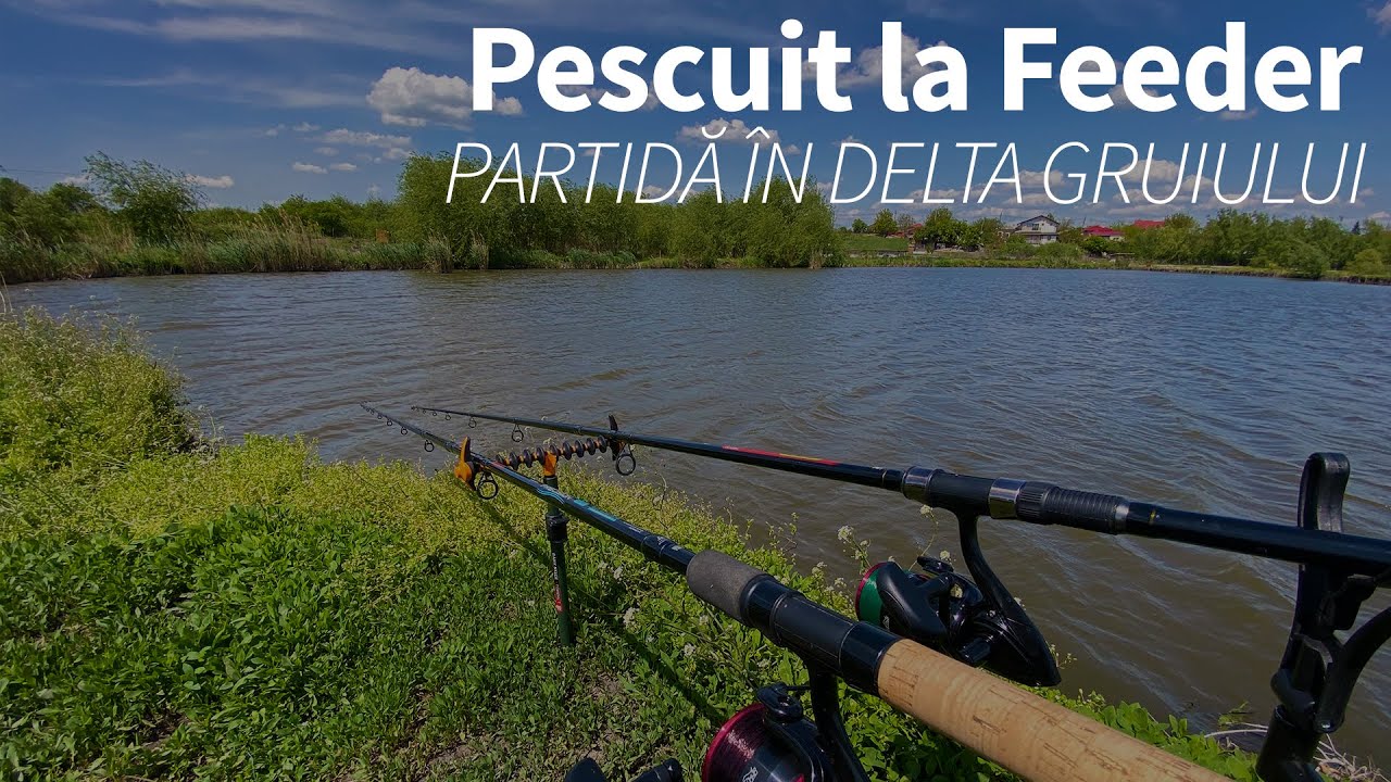 Pescuit la Feeder Primăvara în Delta Gruiului