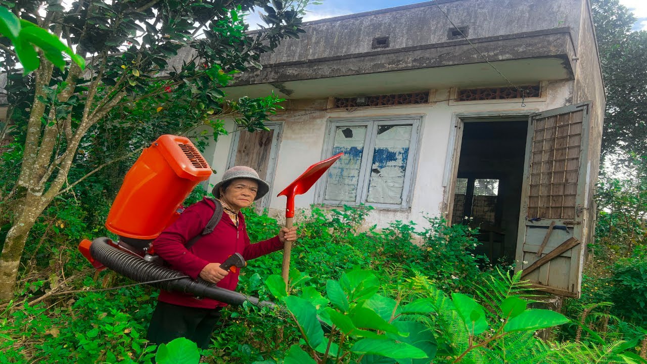 Returning After Decades: Her Overgrown House Gets an Amazing Cleanup!