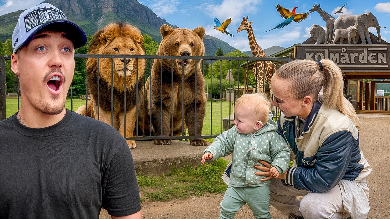 VI ÅKER TILL KOLMÅRDEN