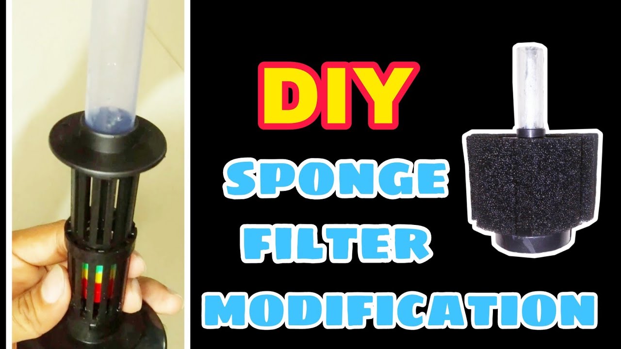DIY Sponge filter modification || How to use airstone inside sponge filter || Sponge filter hacks.