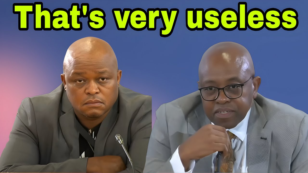 Madlanga slam Brown Mogotsi for bringing useless medical certificate.