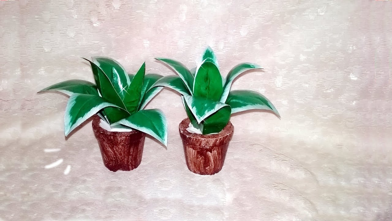Plantinha fácil de garrafa pet