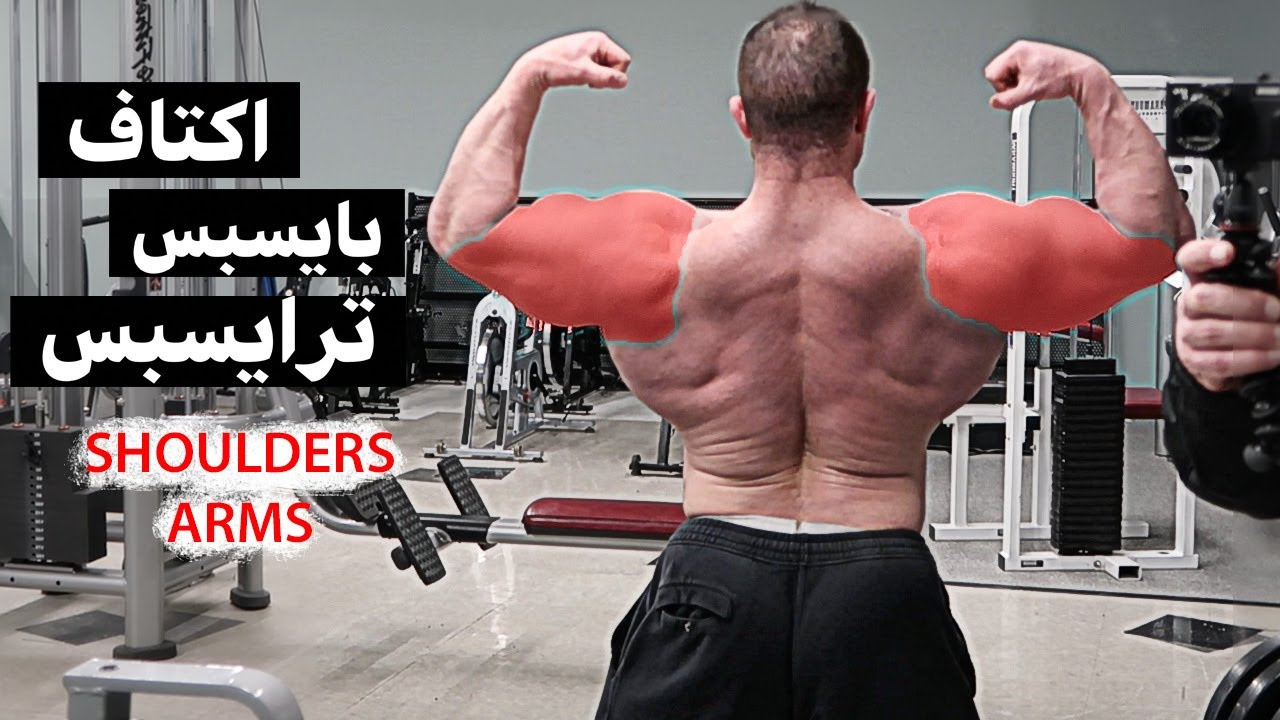 اكتاف مع ذراع &  ARMS SHOULDERS