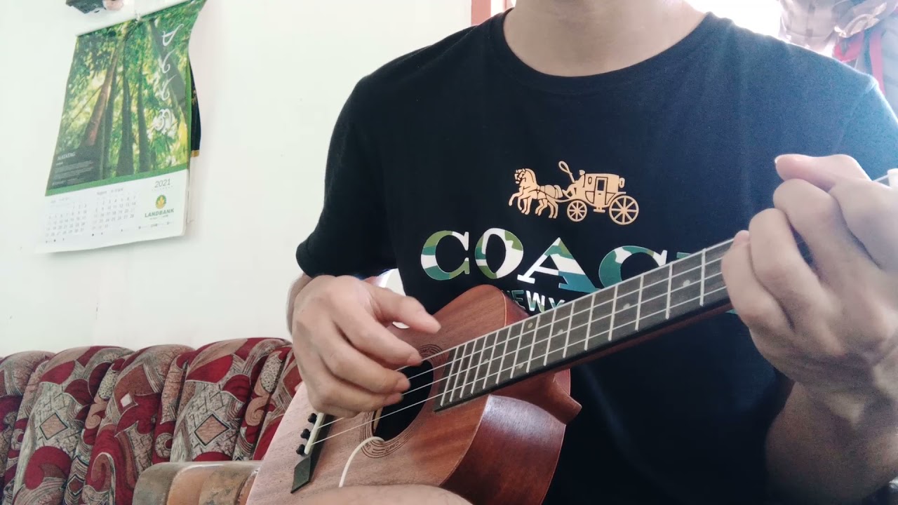 Violet Evergarden Ending song|Michishirube|Minori Chihara|Ukulele