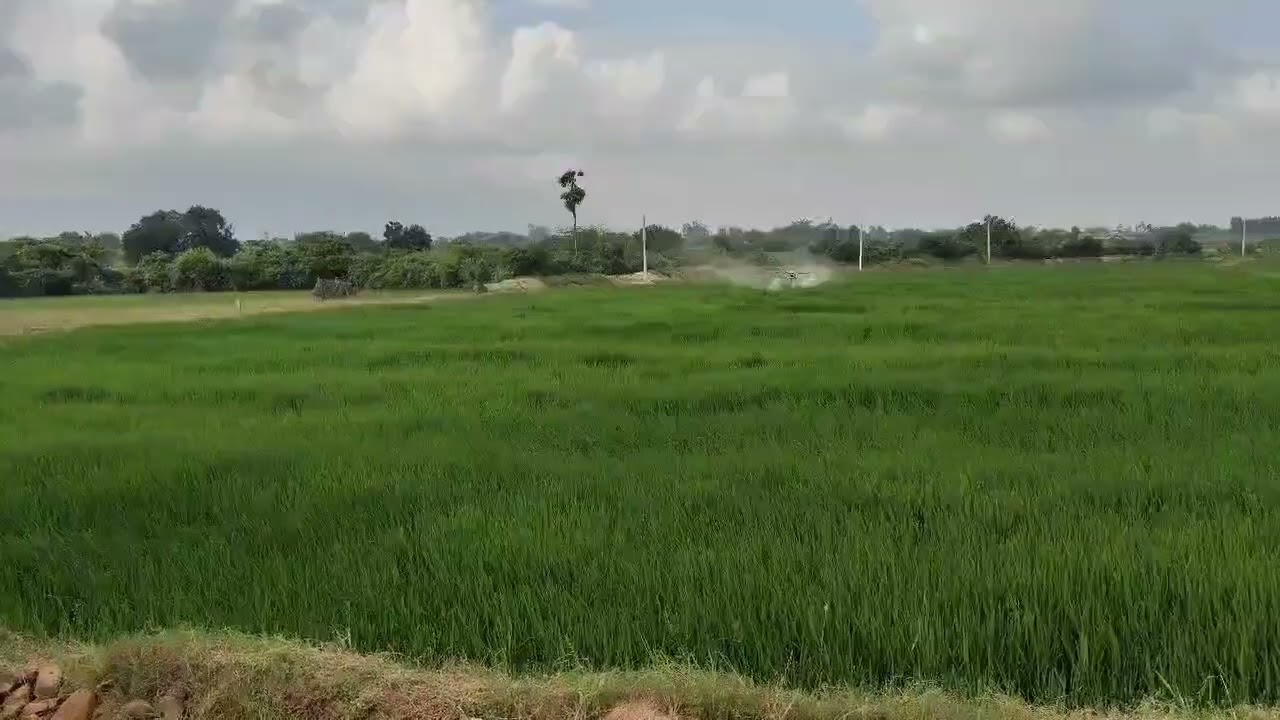 Drone Sparing (manddhu) varipanta