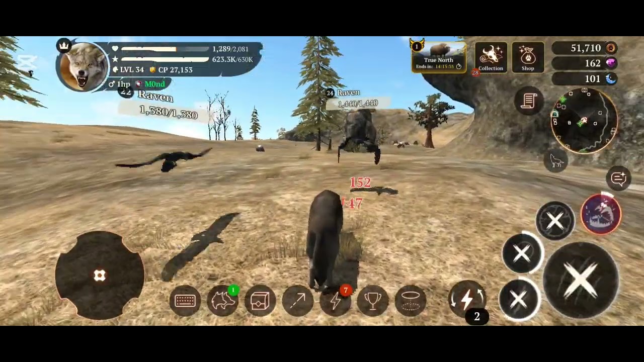 The wolf Lvl 1 to lvl 50