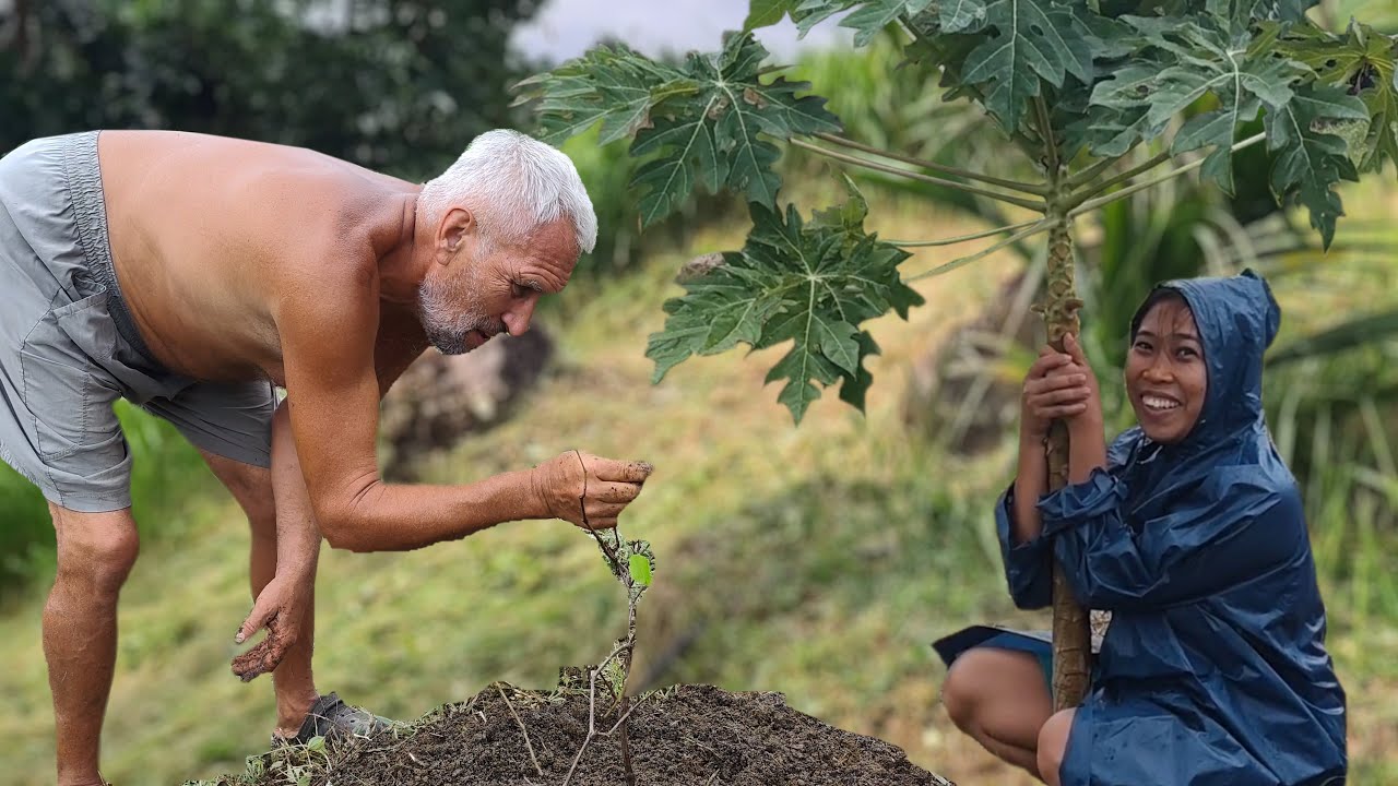 Tropical storm Crising washed away my father's terrace | We plant rare trees | Village life