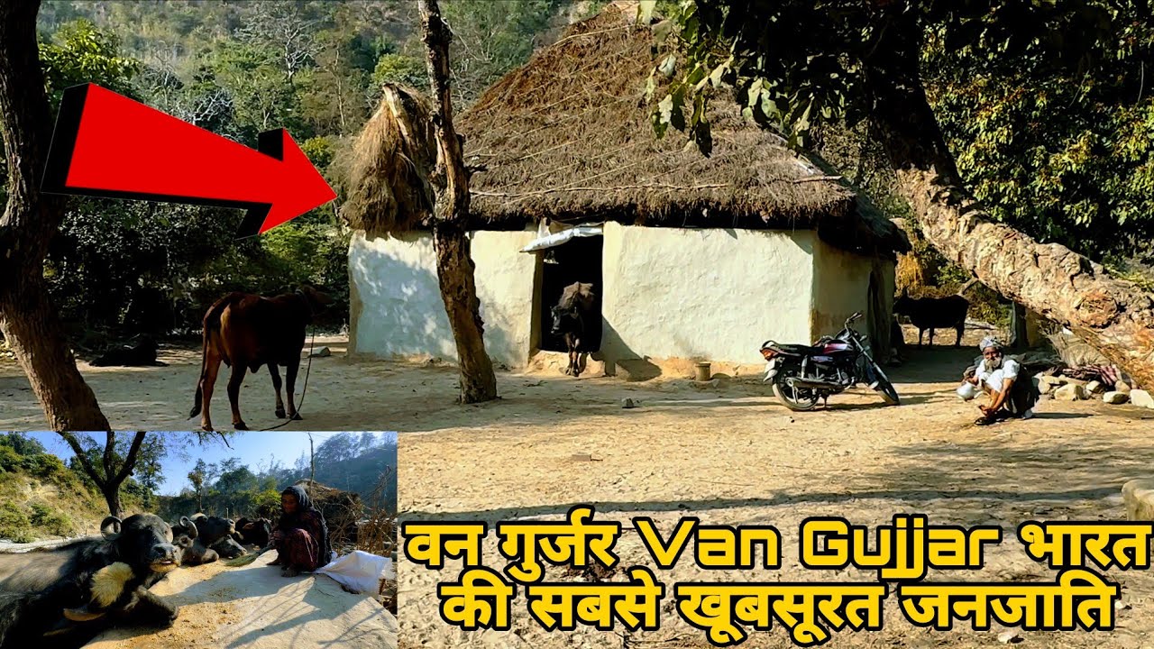 वन गुर्जर Van Gujjar | जंगलों के असली राजा वन गुर्जर | भारत की सबसे खूबसूरत जनजाति | Kisaan Yodha 