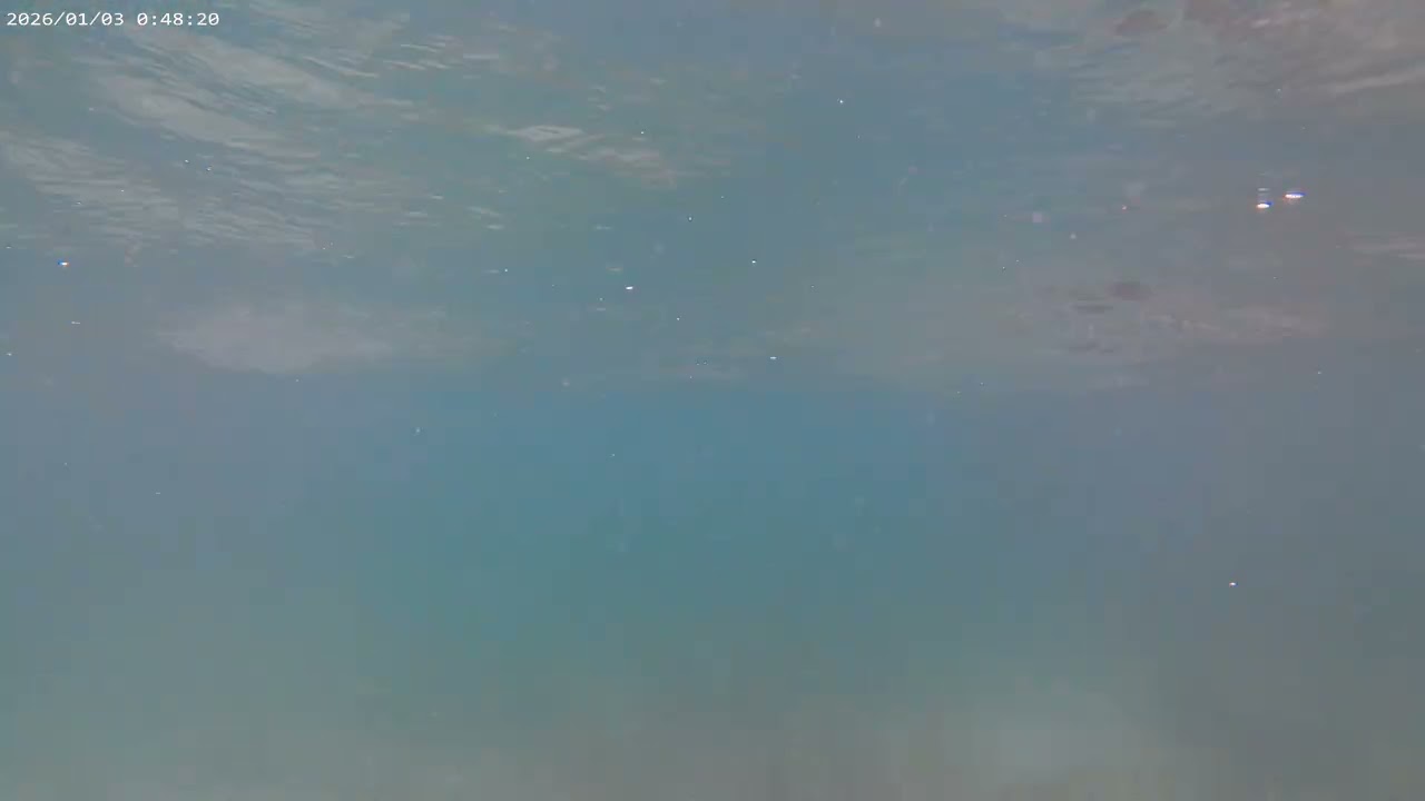 Swim in the sea '' GLEANING  O MANGINHAS'' in Lipayran Island  January 15, 2026 Part 8