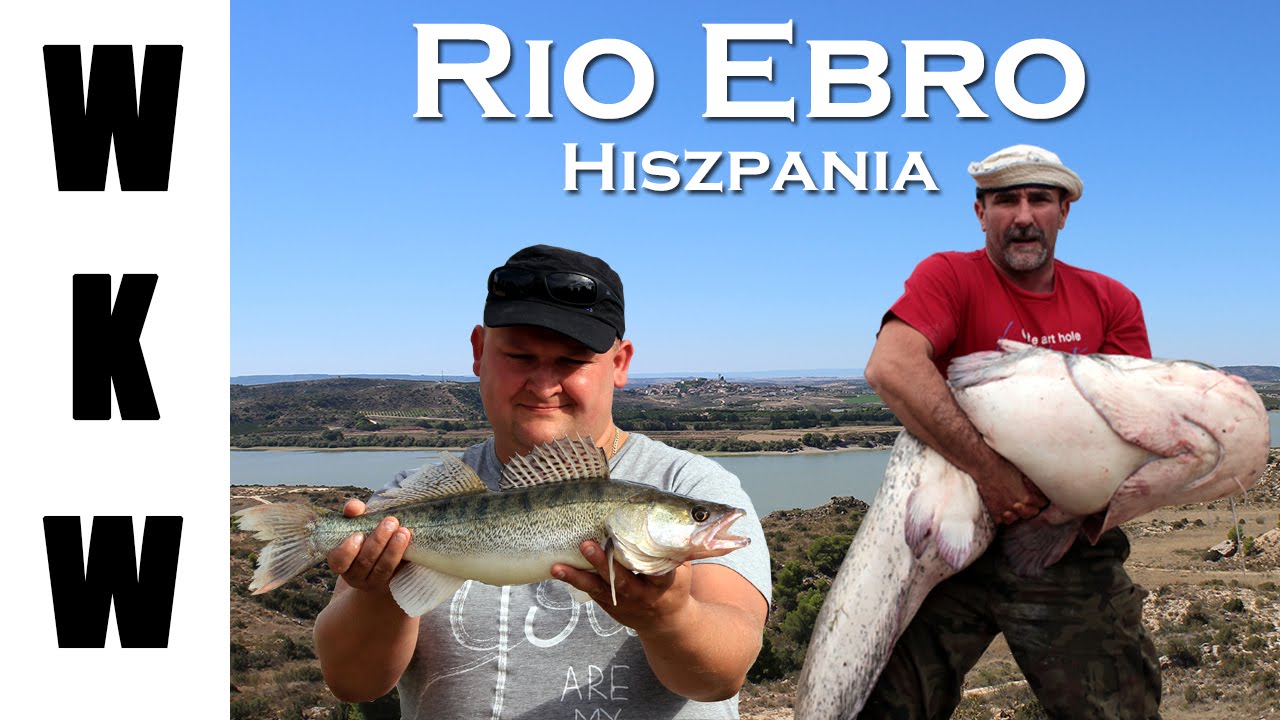 Sum, Karp, Sandacz czyli Rio Ebro Hiszpania | Wędkarstwo - 7 dni | River ebro catfishing