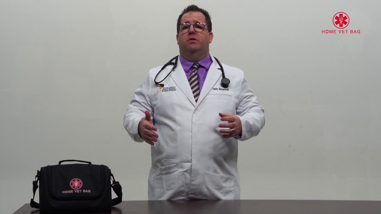 Pet Emergency Tips: Bloat