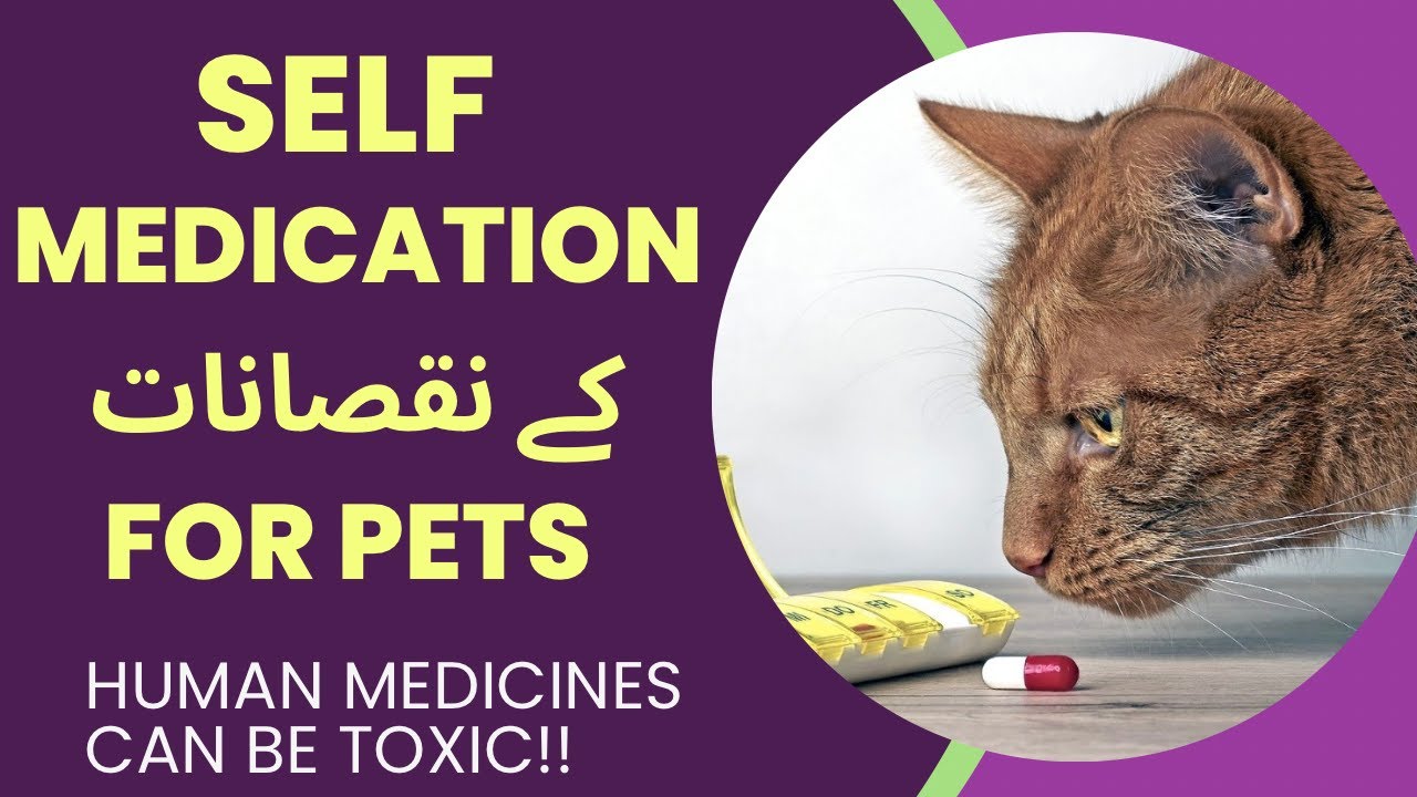 Pets Me Self Medication Ka Kia Nuqsan Hota Hai| Harmful Human Medicines For Pets | Risks Of Toxicity