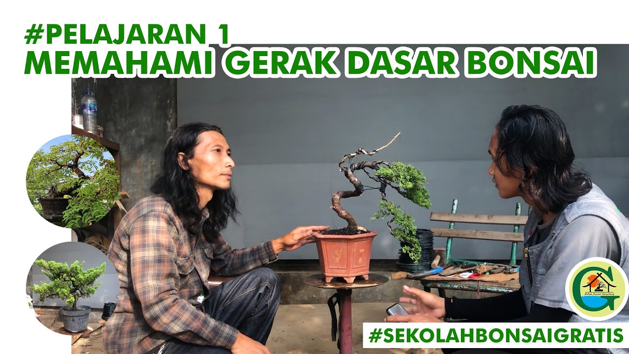 MEMAHAMI GERAK DASAR BONSAI | #SEKOLAHBONSAIGRATIS