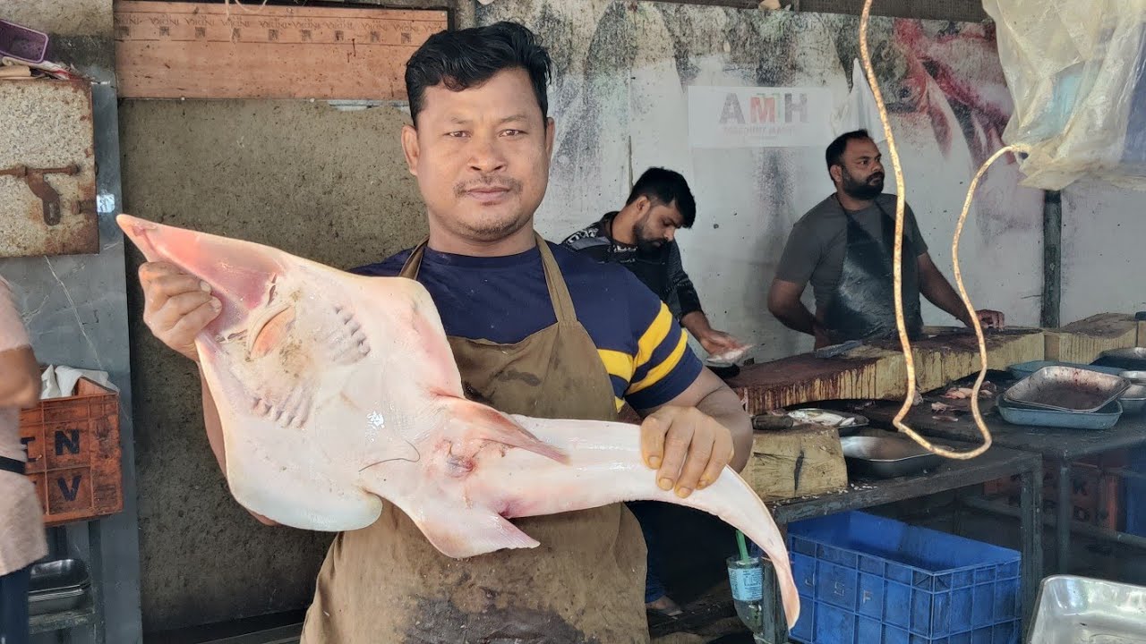 AMH market Kerala cherpulasherry AMH discount market fish video 🐟🐬🐠🦈