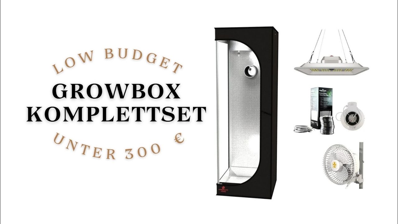 Growbox 40x40x120 &ndash; Das beste Low Budget LED Komplettset unter 300&euro;