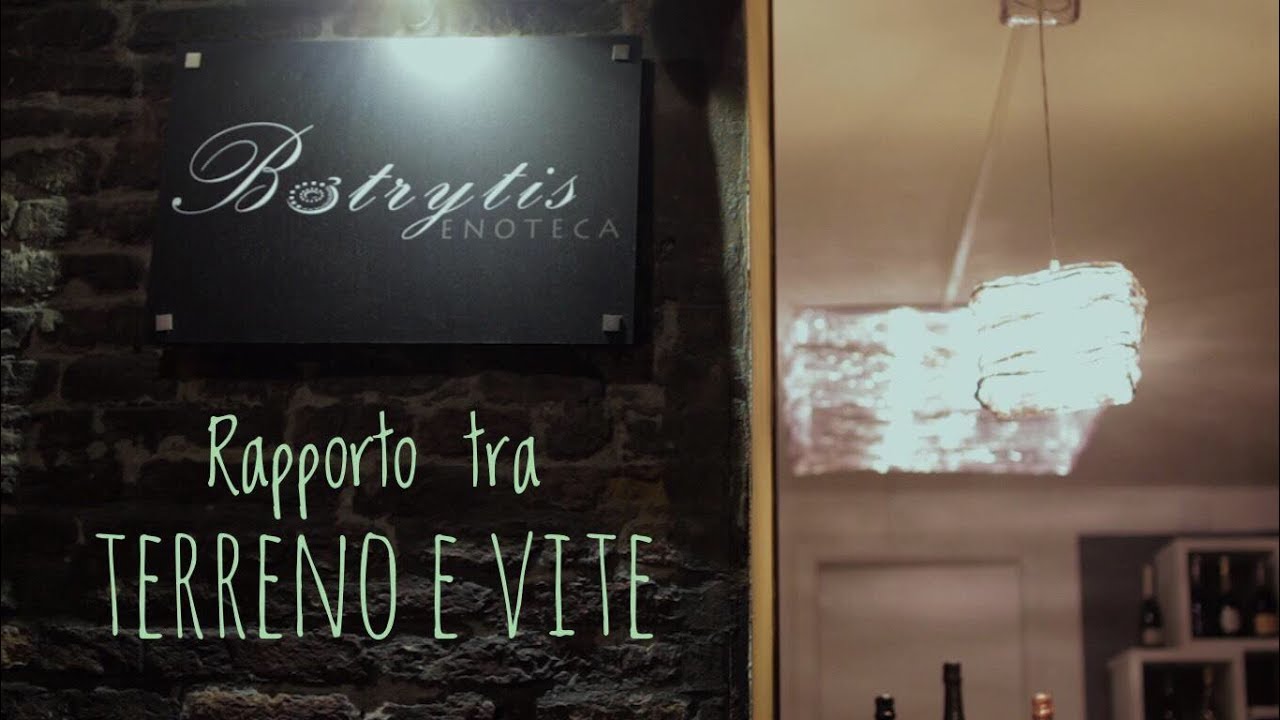 Rapporto tra terreno e vite