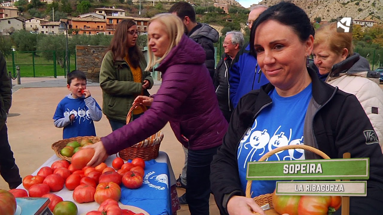 Fiesta del Tomate en Sopeira - Menudo es mi pueblo