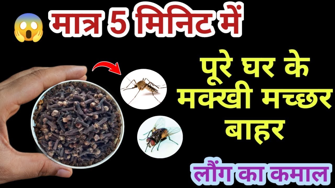 बिना दवाई के घर से मच्छर और मक्खी भगाने का आसान तरीका 😱 kitchen tips / kabad se jugaad / mosquito