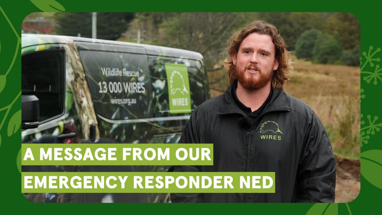 A Message From Our Emergency Responder NED