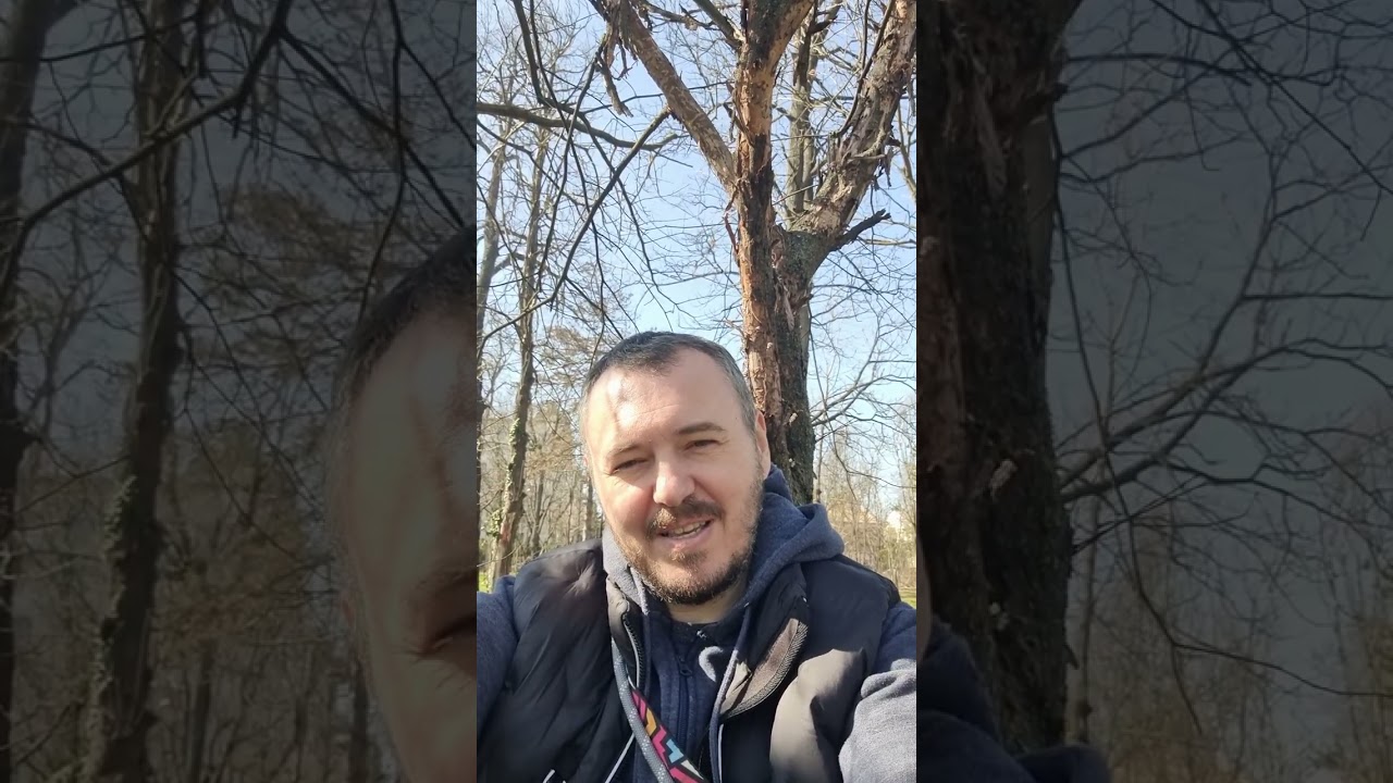 Они утверждают, что являются кинологической ассоциацией номер один в Румынии! 😂