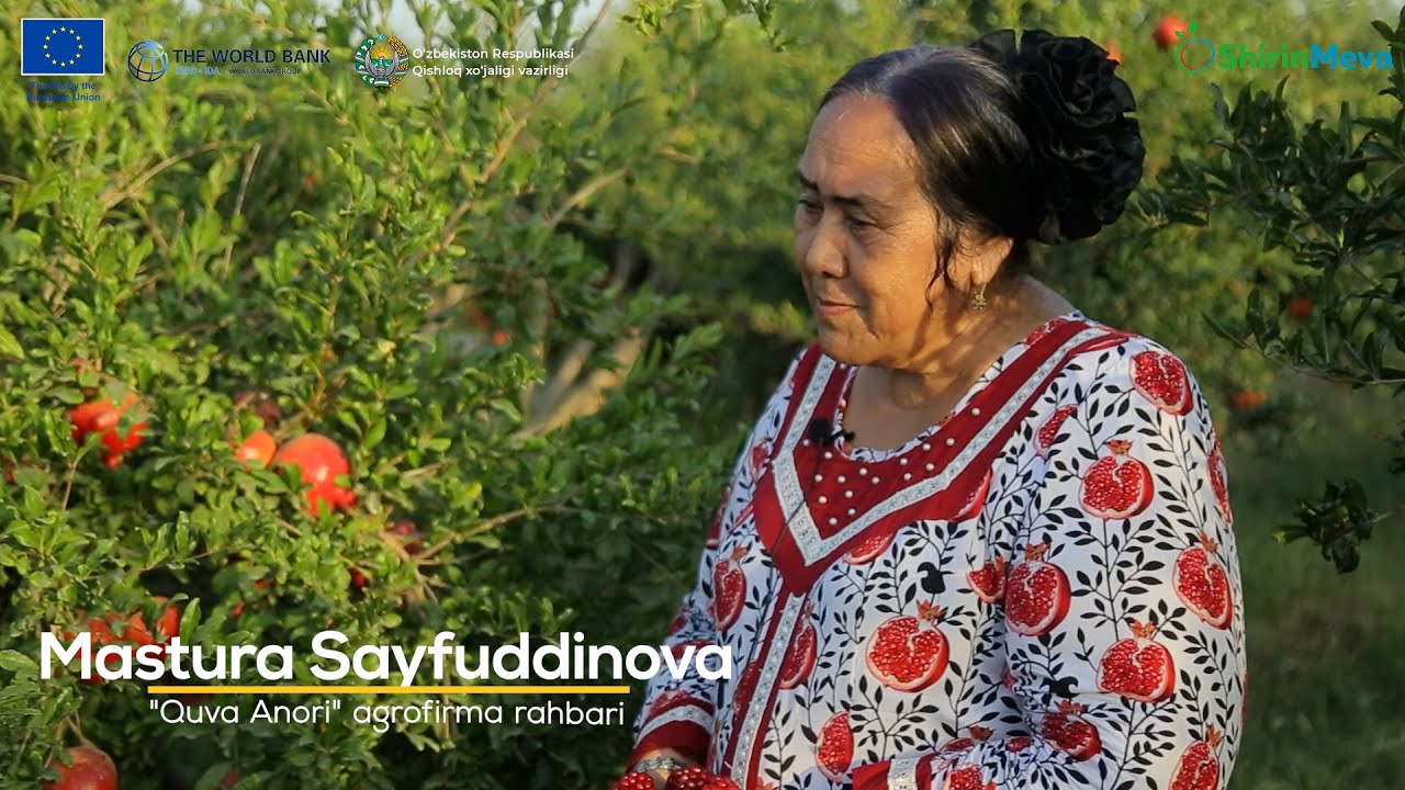 “Қува анори”, “қора дона”, “қизил пўчоқ” анор нарвлари. 2-қисм.