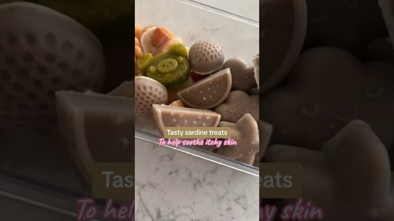 These frozen sardine dog treats help soothe itchy skin!