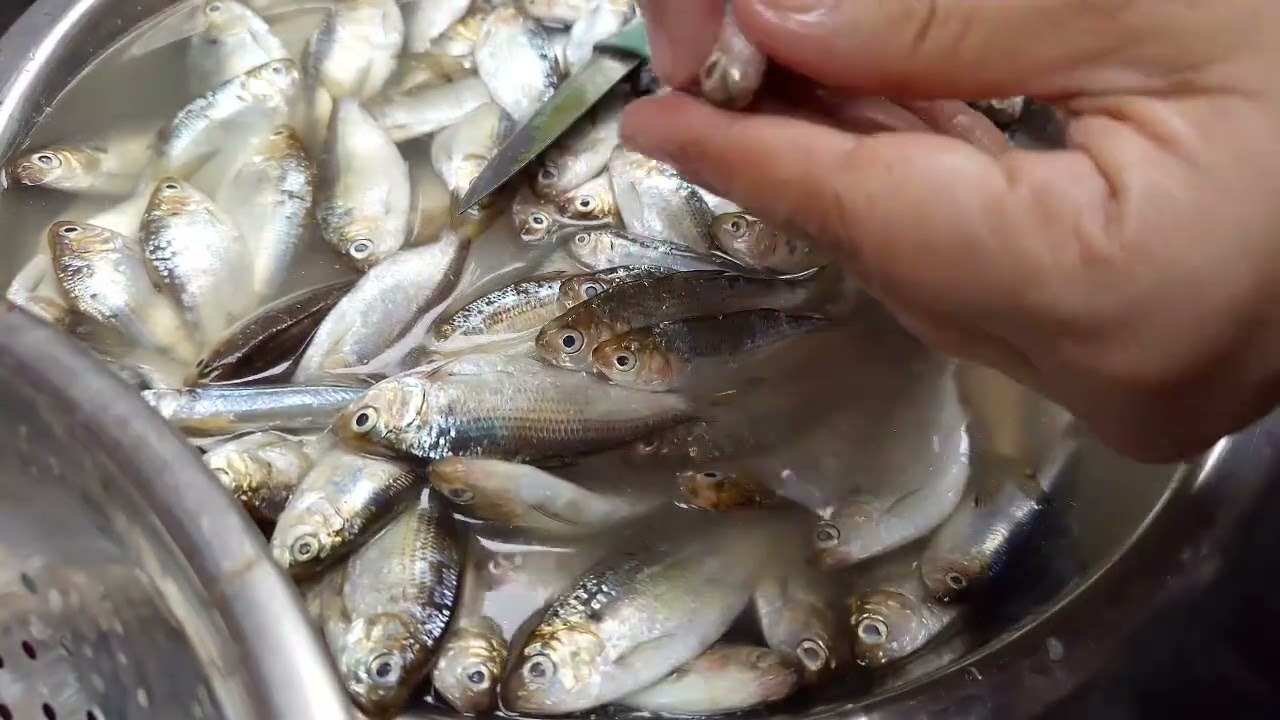 Cleaning Tips Of Kabasi Fish