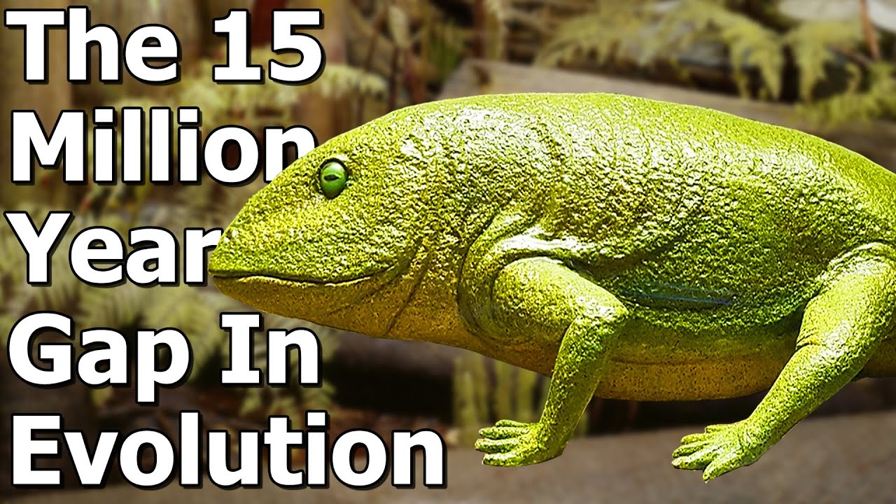The Mysterious 15 Million Year Gap in Our Evolution - Romer’s Gap