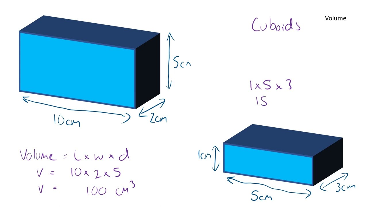 Number and Measure Level 1 Revise this! Video 1