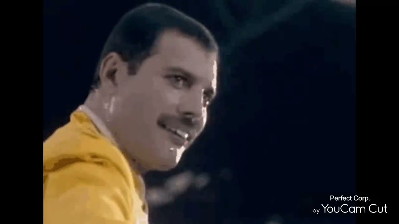 In loving memory of Freddie Mercury ❤️ 