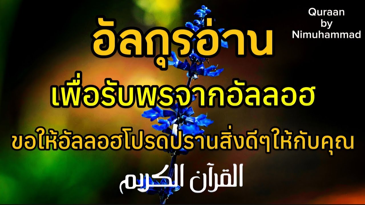 อัลกุรอ่านเพื่อรับพรสิ่งดีๆจากอัลลอฮ อัลกุรอานเพราะๆบาย นิมูฮำหมัด By Nimuhammad