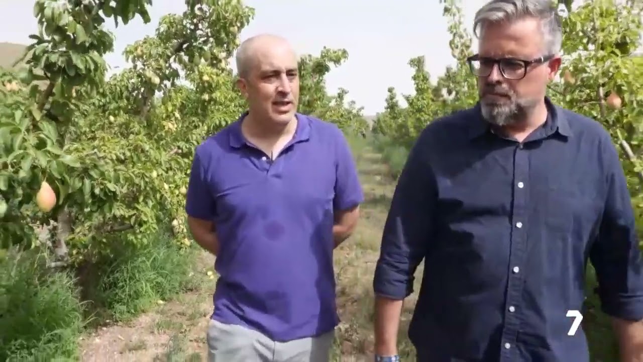DOP Pera de Jumilla | La7 Diario del Campo