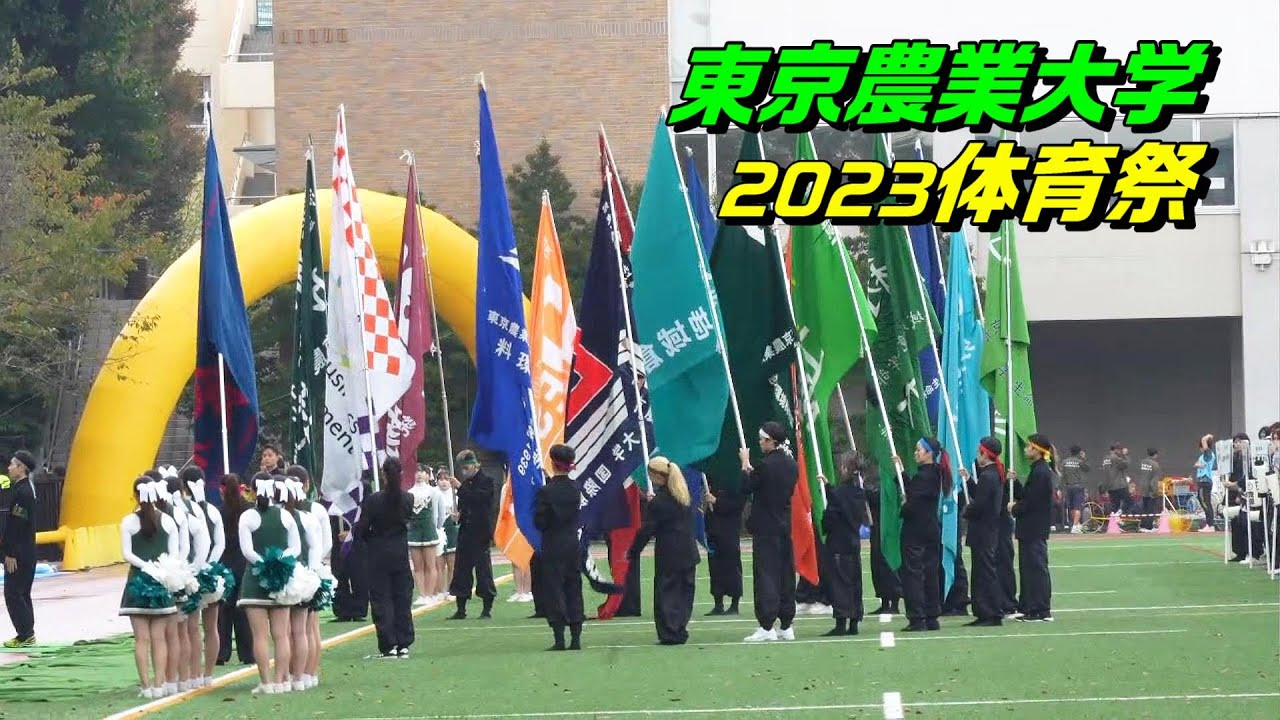 東京農業大学体育祭が元気！ /玉入れ/リレー/応援合戦/綱引き/パフォーマンスマラソン/ 2023/11/6