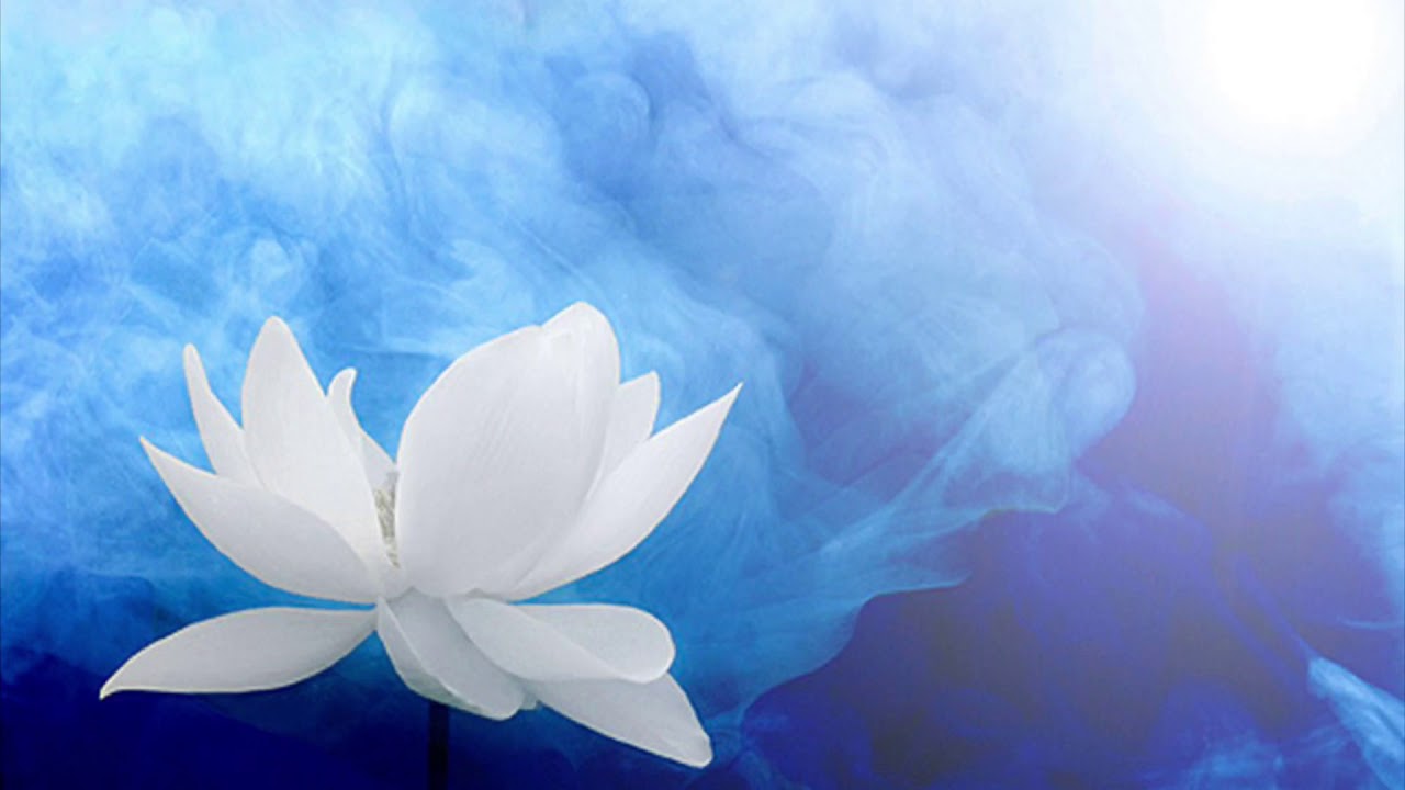 Twin Flames (Moving into the New 2020-Soul Seeking Energy-Update!)