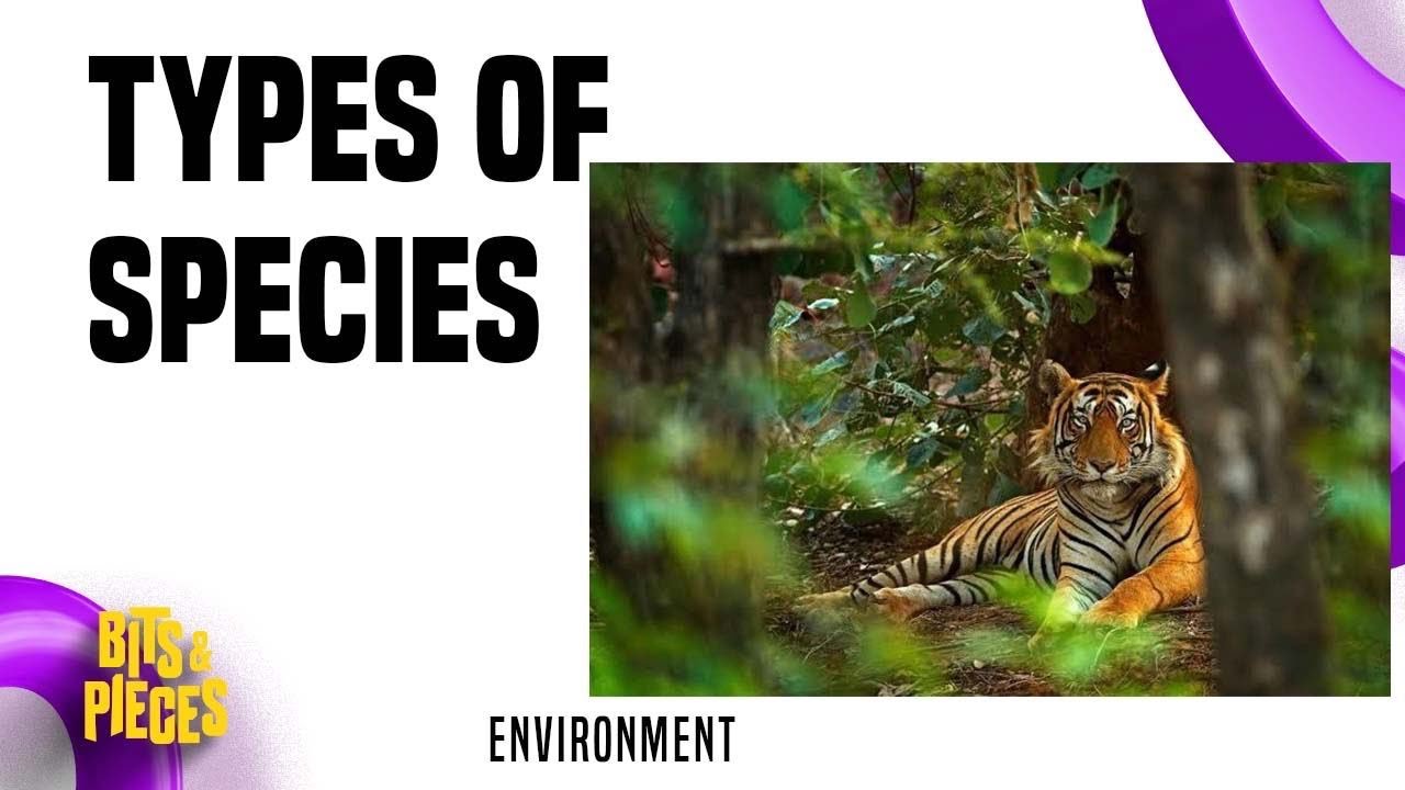 TYPES OF SPECIES - KEYSTONE, FLAGSHIP, INDICATOR, FOUNDATION, ENDEMIC, UMBRELLA, INVASIVE in Tamil
