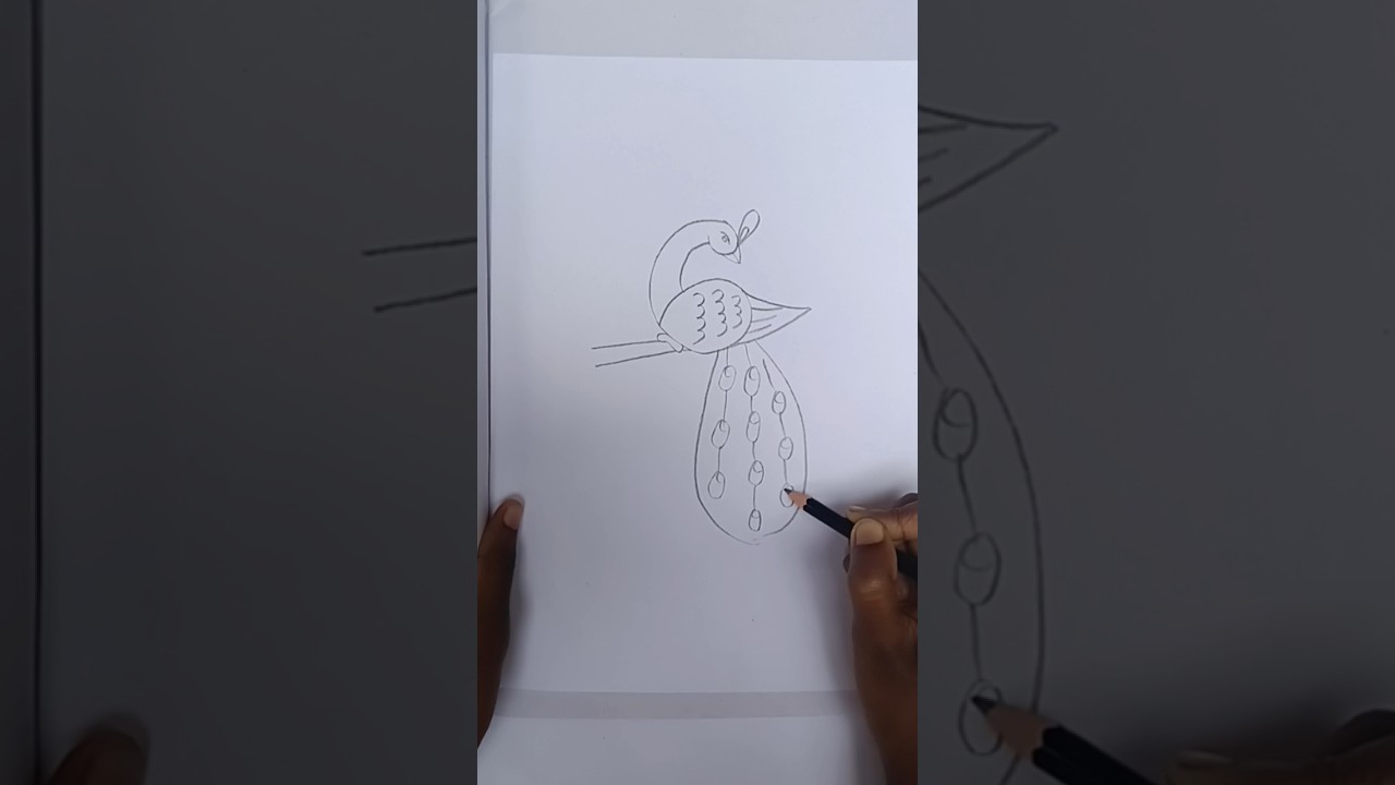 Easy Peacock Drawing Step by Step | #shorts #foryou