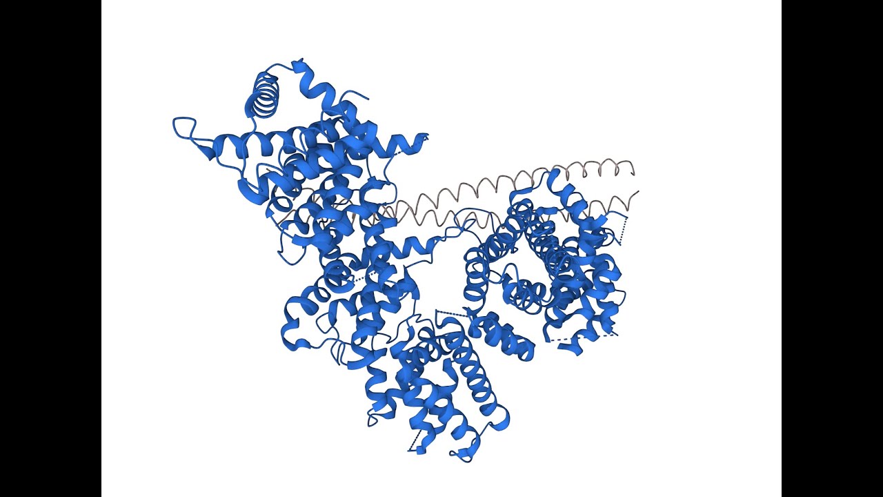 The role of VIRMA in m6a modifications