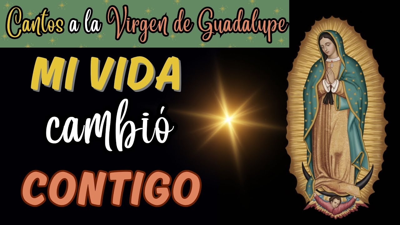 Mi Vida Cambió Contigo
