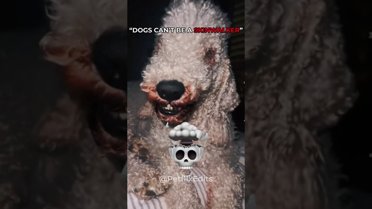 Dogs can&rsquo;t be a skinwalker 💀