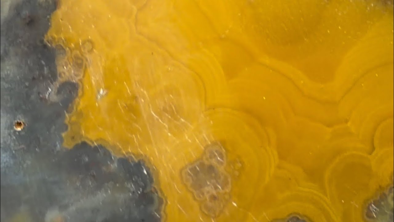 Kentucky agate hunt with Taylor Pfanstiel @RocksnThingsLLC #teamrockit #kentuckyagate #rockhounding 