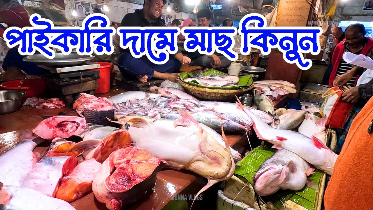 Is Rajshahi Market REALLY the Cheapest for Wholesale Fish Prices?